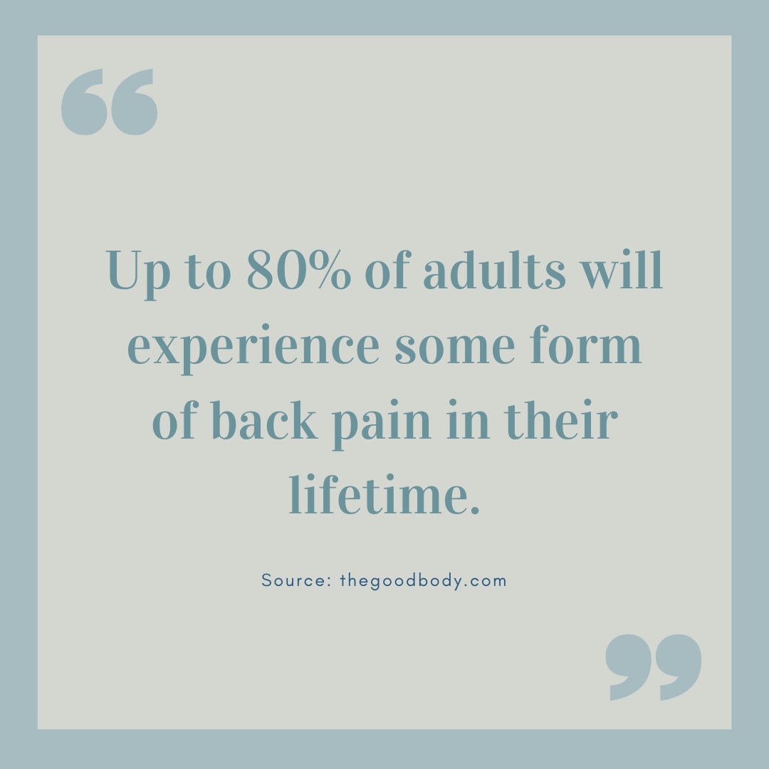 Did you know that it is very common for adults to suffer from back pain? Seeing a chiropractor can help with the symptoms and have you functioning at your 100% best.🙌🏼

#ChiropacticMatters #ChiroCare #ChiropracticWorks #HolisticCare