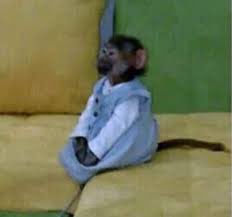 Me waiting for the flowers that I’m not gonna get