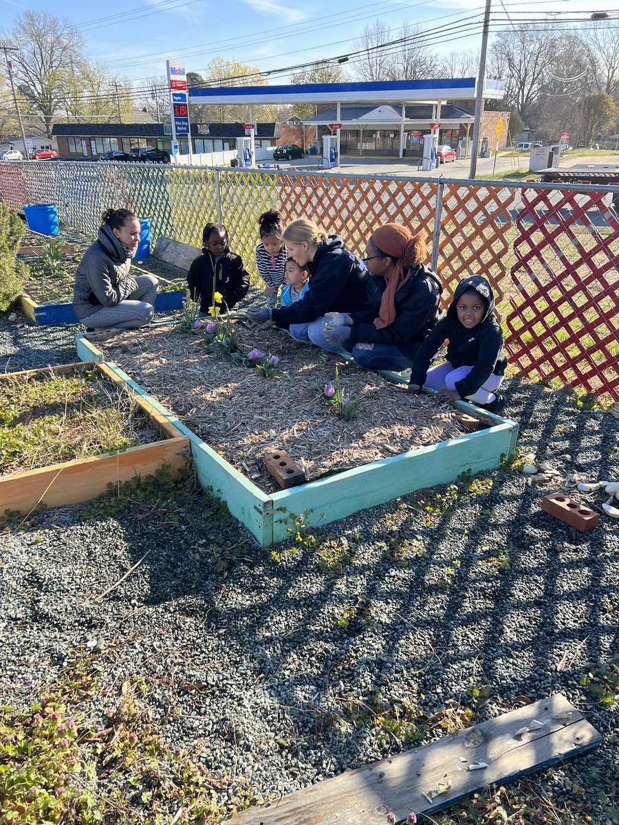scomorrison's tweet photo. So much fun working with kindergartners in the @eaepanthers school garden this morning! #ElonEd #teachingoutside #enviroed #engagedlearning #communitybasedlearning https://t.co/n2F1psQI4S