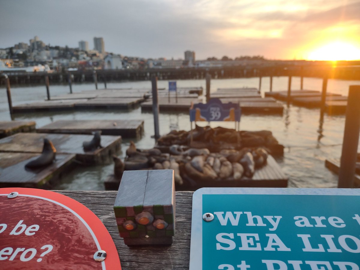 Emery is a big fan of sea lions!

#GDC #gamedev