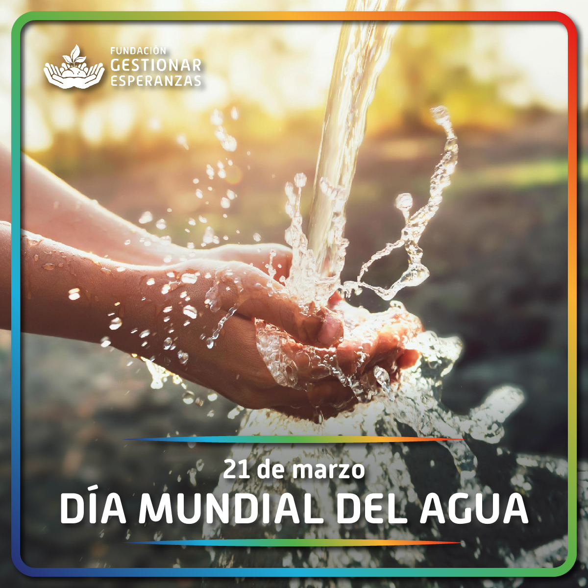 Fundación Gestionar Esperanzas tweet media