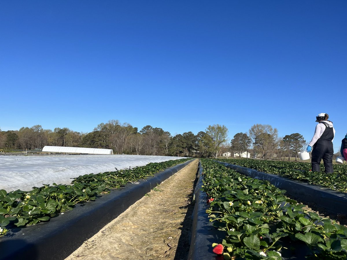 Smith's Nursery tweet media