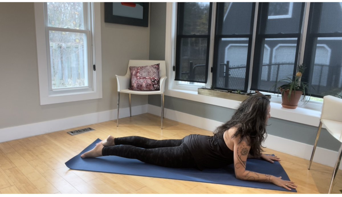 This week in the #ExerciseSnack Studio in TWIC … Sphinx to Cobra with Shirlee Williams! It’s not just a great way to offset sitting + open the chest, it will help you be more productive and help you feel better all day, every day! thewellnessintelligencecollective.com/posts/sphinx-t… #WellnessIntelligence