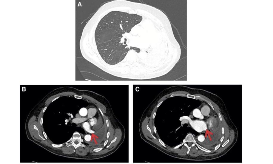 Dominik Linz tweet media