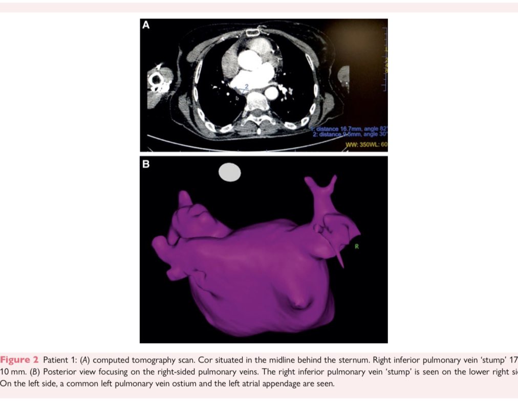 Dominik Linz tweet media