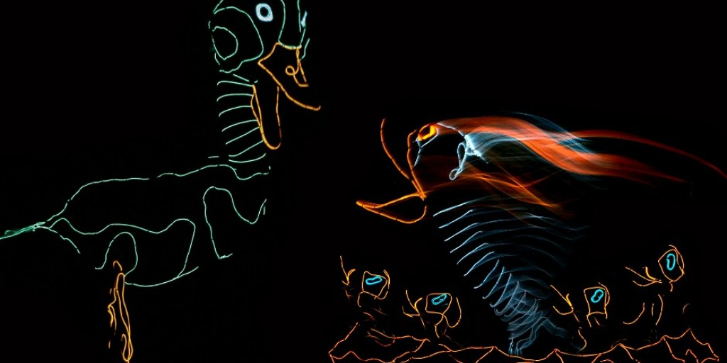 Kingston_Grand (@kingston_grand) on Twitter photo Join us for an unforgettable experience as <a href="/LightwireTheatr/">Lightwire Theater</a> brings The Ugly Duckling to life on stage <a href="/kingstongrand/">The Grand Theatre</a> through a blend of puppetry, technology & dance.
Get your tickets - bit.ly/3ln4J2I
Thank you to our Family Series Sponsor: <a href="/panerabread/">Panera Bread</a>
#GrandOnStage Join us for an unforgettable experience as <a href="/LightwireTheatr/">Lightwire Theater</a> brings The Ugly Duckling to life on stage <a href="/kingstongrand/">The Grand Theatre</a> through a blend of puppetry, technology & dance.
Get your tickets - bit.ly/3ln4J2I
Thank you to our Family Series Sponsor: <a href="/panerabread/">Panera Bread</a>
#GrandOnStage