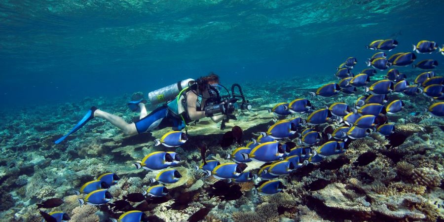 Discover Dhawa Ihuri, Maldives today - mailchi.mp/tropicbreeze.c…