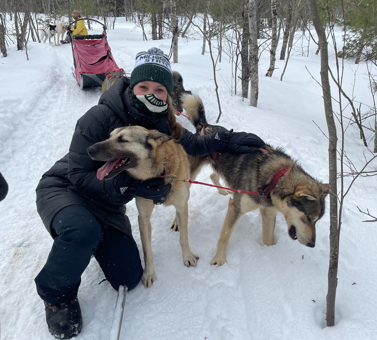 msualumni's tweet photo. ✔️ Hiking in frozen waterfalls
✔️ Dog sledding through the woods
✔️ Adventuring with Spartans
#SpartanPathways | @NaturesKennel | @michiganstateu https://t.co/jMX3wFZlHC