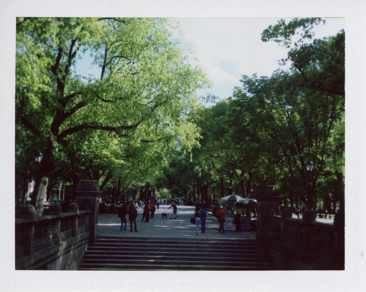 mattoriousphoto's tweet image. Going to NYC next month, here’s a #fujifp100c peel apart of Central Park. @Polaroid #landcamera125