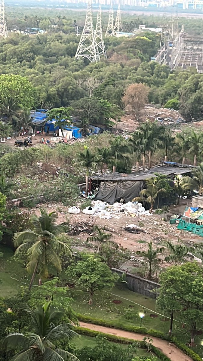 Priyanka Timmins tweet media