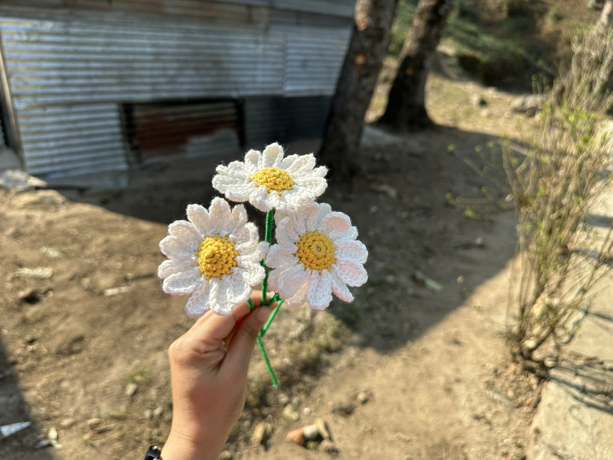 sin_ruby's tweet image. Forever flowers for your friends and family.
theknottstore.com