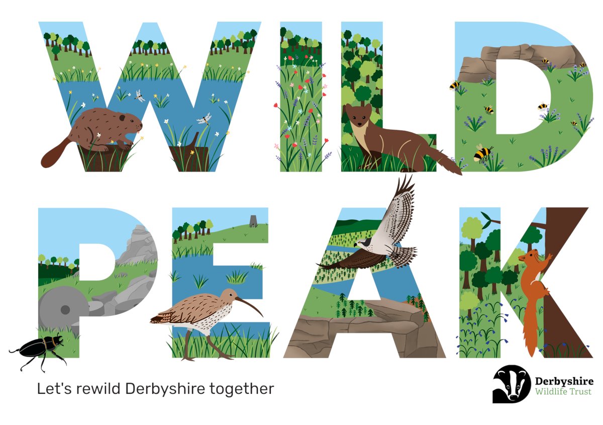 Caroline Norbury (@the_owl_hoot) on Twitter photo Hollie Davis and Ruth Pilbeam from <a href="/DerbysWildlife/">Derbyshire Wildlife Trust</a> talk about creating a wilder Derbyshire on the podcast, sharing initiatives and frameworks for engaging a network of rewilders in nature-based activities to boost biodiversity: theowlhoot.com/podcast/creatiā¦. Hollie Davis and Ruth Pilbeam from <a href="/DerbysWildlife/">Derbyshire Wildlife Trust</a> talk about creating a wilder Derbyshire on the podcast, sharing initiatives and frameworks for engaging a network of rewilders in nature-based activities to boost biodiversity: theowlhoot.com/podcast/creatiā¦.