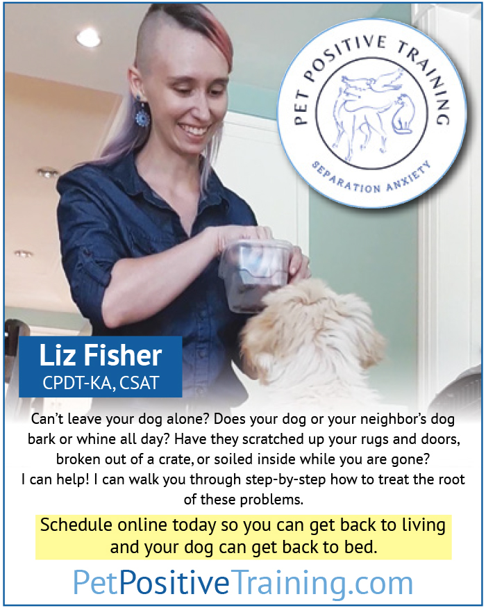 keepitlocalME's tweet photo. Can't leave your #dog alone? @PetPositiveTra9 can help with #separationanxiety - go to https://t.co/rCkYHFHoJ8 to start #dogtraining now! #pettraining #petpositivetraining #positivetraining #training #separationanxietydog #pets #mainebusiness #localbusiness #keepitlocalmaine https://t.co/Rnen4AvwzW