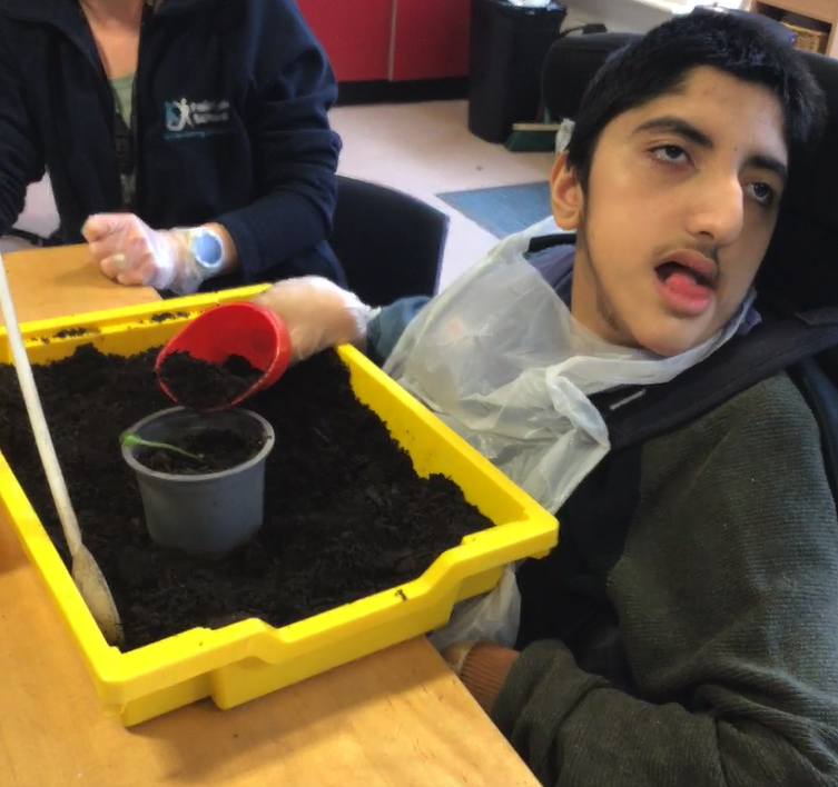Fairfieldstweet's tweet photo. F3 students have been working hard planting some potatoes and sunflowers during their gardening session (Green and Grow).
#WorkRelatedLearning #Careers https://t.co/K9qDZb2x8E