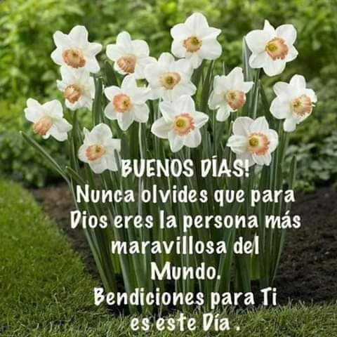 DomnguezMLaura's tweet photo. Feliz martes. https://t.co/vasWV3LPHm