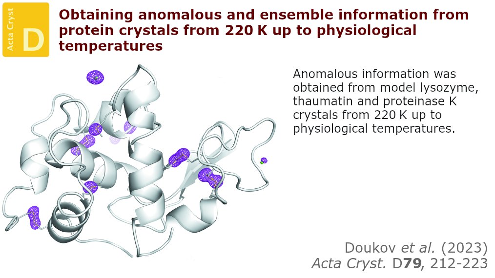 ActaCrystD's tweet photo. Anomalous signal can be obtained from single protein crystals using diffraction data collected from 220 K up to physiological temperatures and can be used to directly determine the structure of a protein #NativePhasing #AnomalousDiffraction https://t.co/HkVpTjeJ5L https://t.co/vbSoFQjLbI