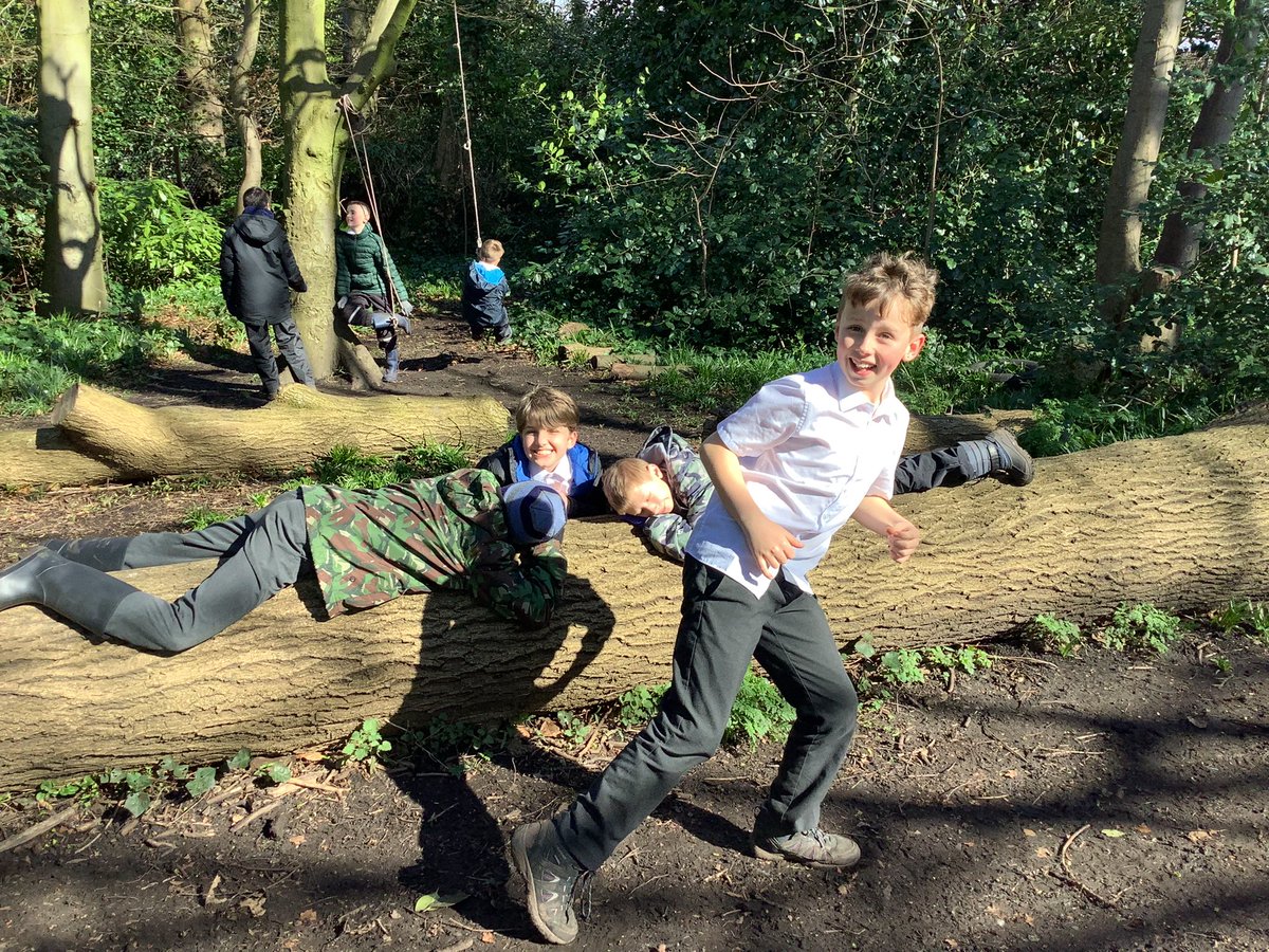 Tyntesfield_MS's tweet photo. A fabulous time in the woods 🌳🌲🌴🪵 Last session next week. https://t.co/P8jN1GLyxh
