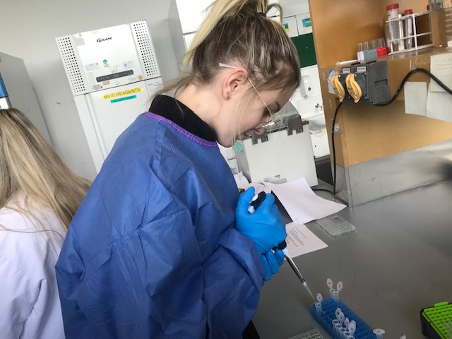 HFSchoolDeaf1's tweet photo. 5B biology class got to visit UCD CEPHR (Centre for Experimental Pathogen Host Research). Activities included microscopy, pipette challenge, analysis of SARS-CoV-2 and use of commercial antigen tests.
Thanks to past pupil and PhD student Leah Ennis Mc Loughlin for inviting us. https://t.co/dxhGkUsHeJ