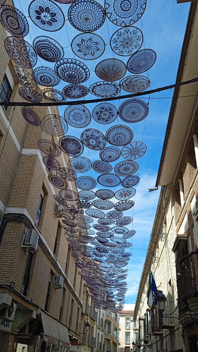 ChemaBerna's tweet photo. Hoy, en una calle de Lucena, Córdoba.
Se nota que ya es primavera. https://t.co/cdZ3h5BTpO