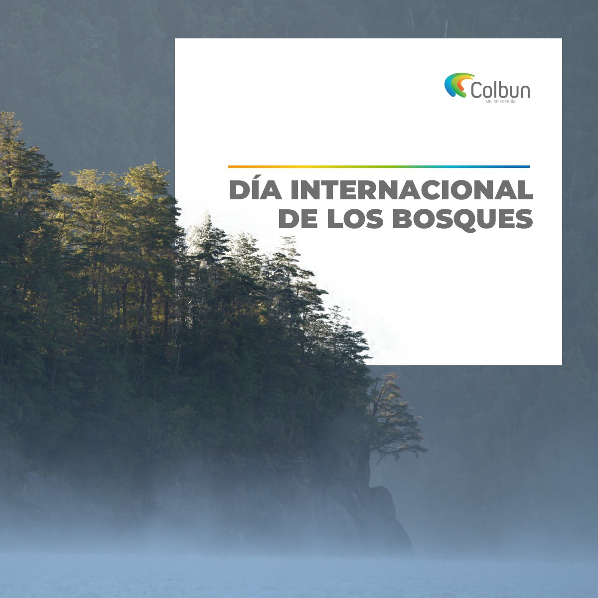 ColbunEnergia's tweet photo. En el #DíaInternacionalDeLosBosques reafirmamos nuestro compromiso, compartiendo una imagen del Área de Conservación en el Lago Chapo que cedimos a perpetuidad a la Fundación @tierraaustralcl bajo la figura Derecho Real de Conservación🌲🌳.
Más info, aquí: https://t.co/mPe4qdbhon https://t.co/tLLOwGChiR