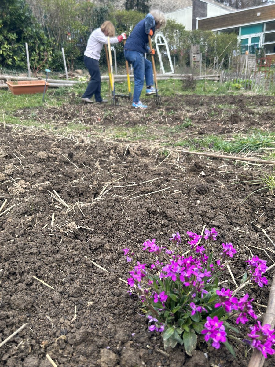 Gourlette's tweet photo. Quand la Directrice Financière et Stratégie Europe @HeriardClarisse emmène son équipe au vert, ça donne ça 👉🏻Team Building Solidaire au sein de l’Association Bergeries en Ville
Au programme: plantations, réfection poulailler et cabane à moutons, 💡climat, biodiversité…à Meudon ! https://t.co/AoBnnJNmRs