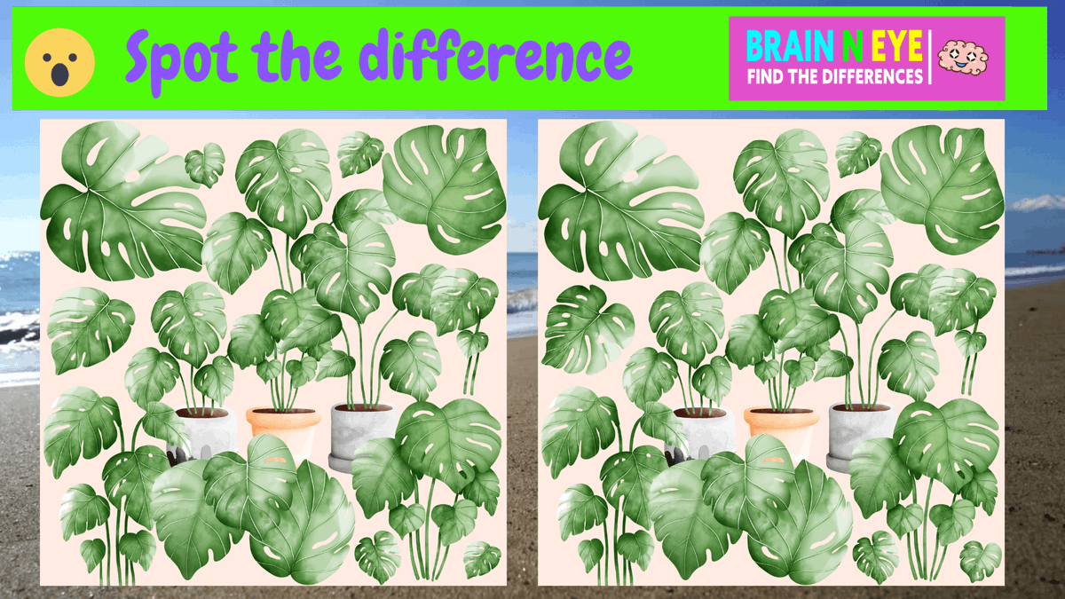 poortoast2020's tweet image. 【Find the difference game】Only 1% of people can find the difference! bra... youtu.be/xA8m8XiKhiI 來自 @YouTube 
#findthedifference #find3difference #findthedifferencegame #freegame #freegames #youtubegaming #houseplant