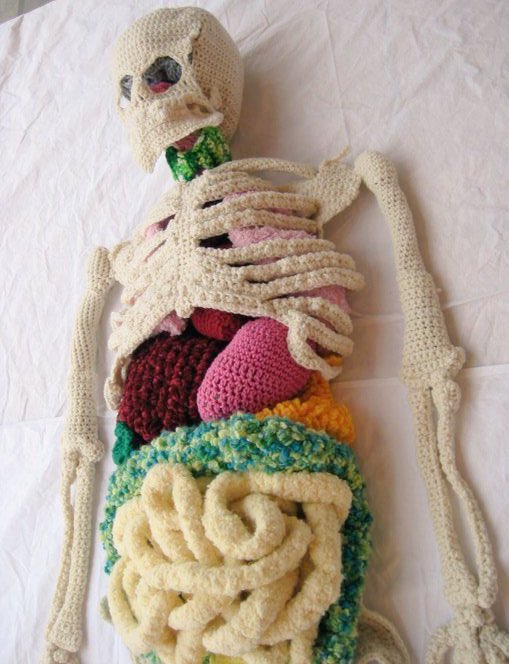 pixikiIler's tweet photo. full scale crocheted + knit skeleton with removable organs by Shanell Papp https://t.co/aq4ijaHCw4