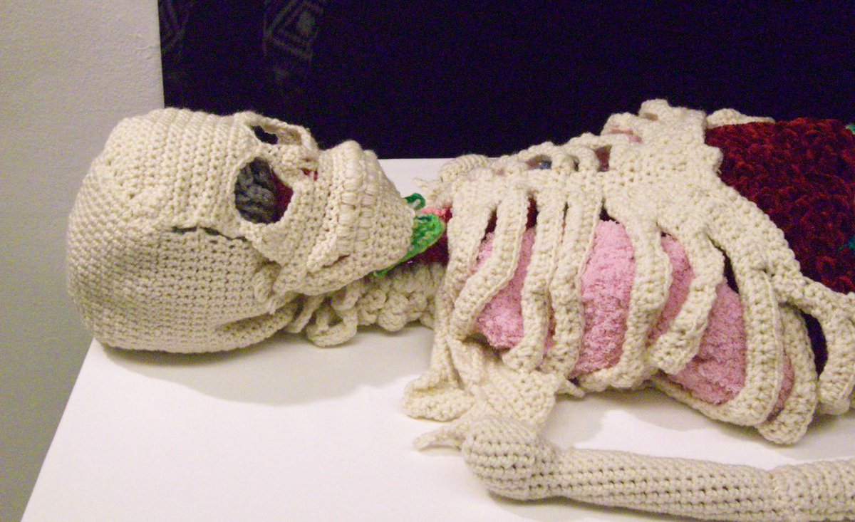 pixikiIler's tweet photo. full scale crocheted + knit skeleton with removable organs by Shanell Papp https://t.co/aq4ijaHCw4