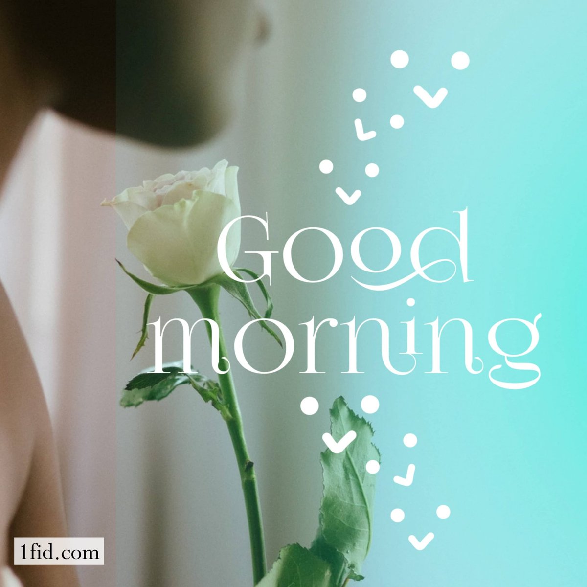 dicky_098's tweet image. Good morning