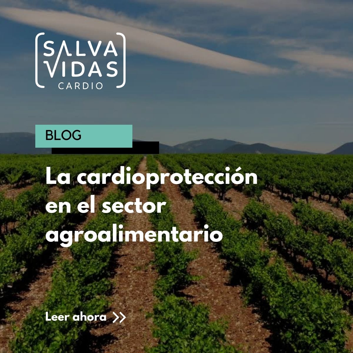 ¿Por qué una empresa del #sectoralimentario debe estar cardioprotegida?   En este post 👉 zurl.co/w6XU   te contamos todas las razones por las que una empresa de este sector deben estar cardioprotegida
