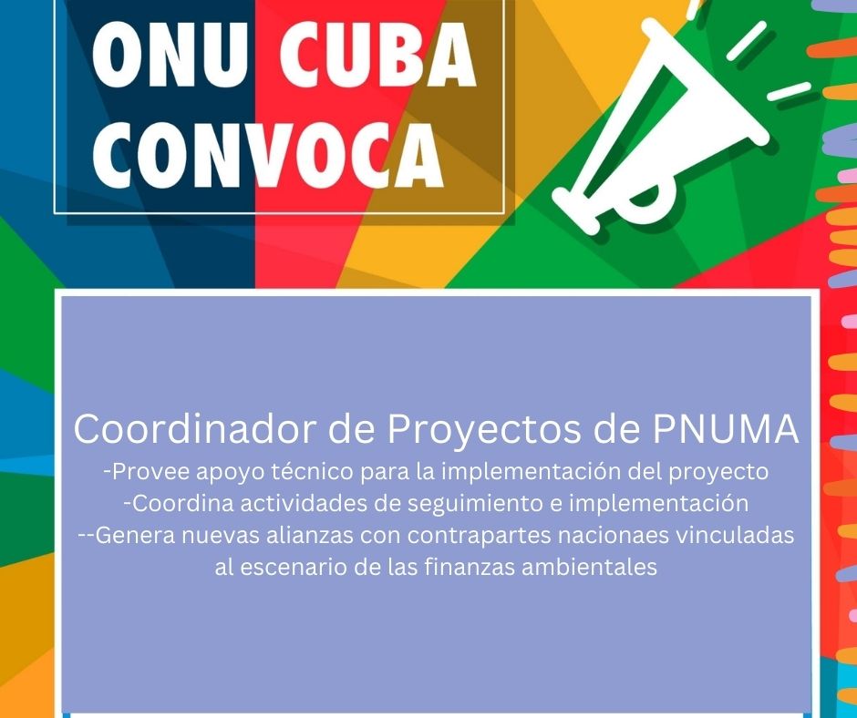 ✅Te interesa la gestión de proyectos❓
✅Sabes de finanzas ambientales❓
✅Has liderado equipos, impulsado alianzas, abierto caminos a ideas emprendedoras❓

Esta es tu oportunidad‼️ <a href="/ONU_Cuba/">ONU en Cuba</a> y <a href="/Pnuma_Official/">PNUMA</a> convocan, hasta el 28 de marzo
Info aquí 👇
bit.ly/42xI5W6