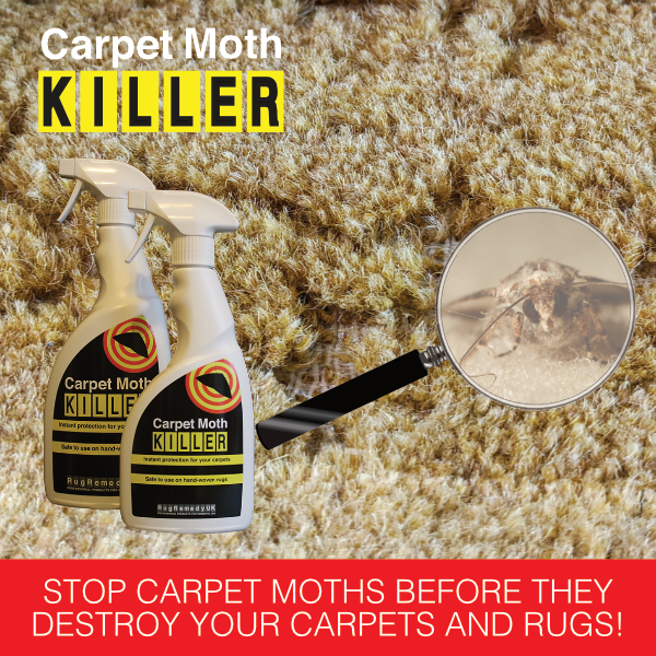 RugRemedy's tweet photo. The Moths are moving in! - https://t.co/eB9WpSGXSo https://t.co/fkxsAS5WmC