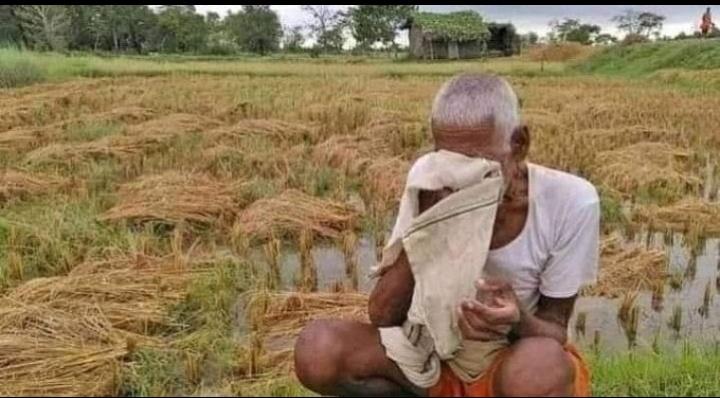 dholibishnoi029's tweet photo. उन दिलो को भी सुकून देना ऐ खुदा  जिनके हाल तेरे सिवा और कोई नहीं जानता @ashokgehlot51 #किसानों_को_मुआवजा_दो https://t.co/q3hkRXBefO