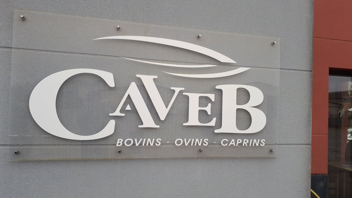 FitoussiBastien's tweet photo. Un grand merci à la #Caveb 🐂🐑🐐 pour l'accueil des chefs de projets #casdar @lacoopagricole pour échanger notamment sur la #Bio et les schémas de valorisation pour les éleveurs dans le contexte difficile du secteur #DevAgriLCA @DeuxSevres https://t.co/XmfiYygGq0