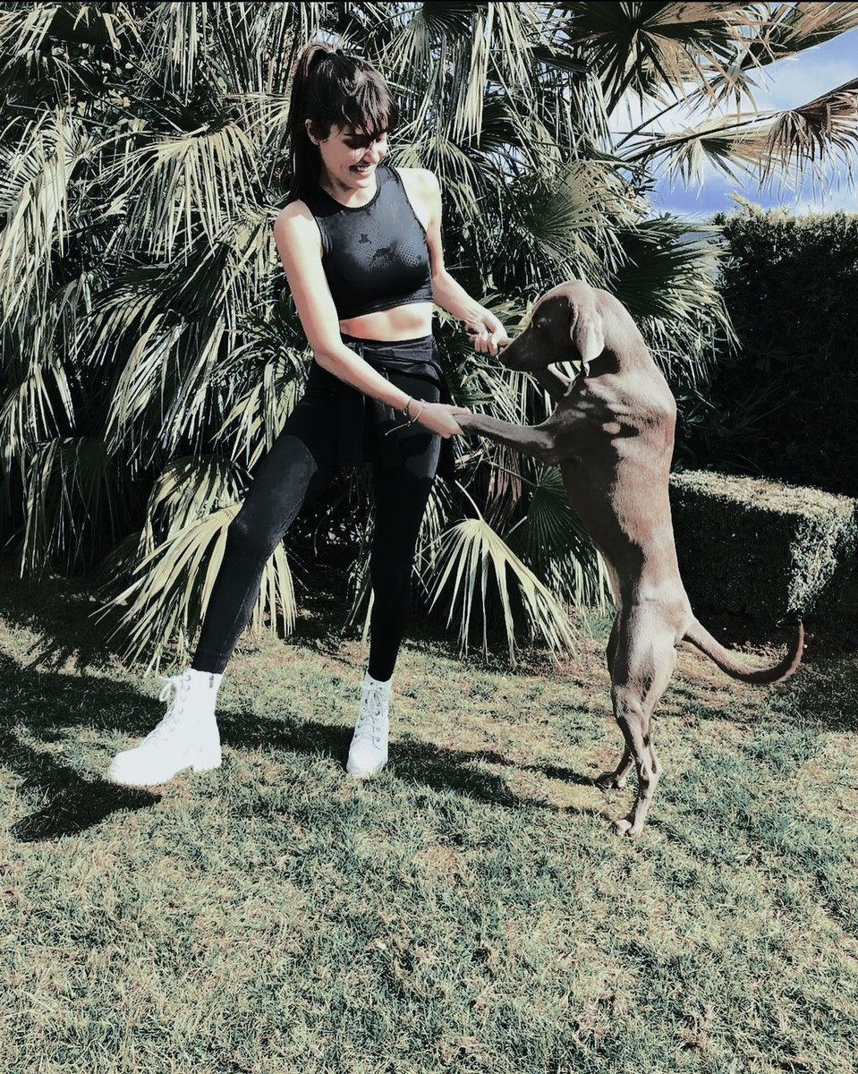 ANIMASALO's tweet photo. [ 𝗜𝗡𝗦𝗧𝗔-𝗣𝗢𝗦𝗧 : @𝘣𝘢𝘯𝘢𝘯𝘢𝘳𝘰𝘴𝘢𝘯𝘯𝘢 ]

          * ʏᴏᴜ  ᴍᴀᴋᴇ  ᴍᴇ  ꜰᴇᴇʟ
             ʟɪᴋᴇ  𝒅𝒂𝒏𝒄𝒊𝒏𝒈 🐾💃 https://t.co/EPrCn0TENi