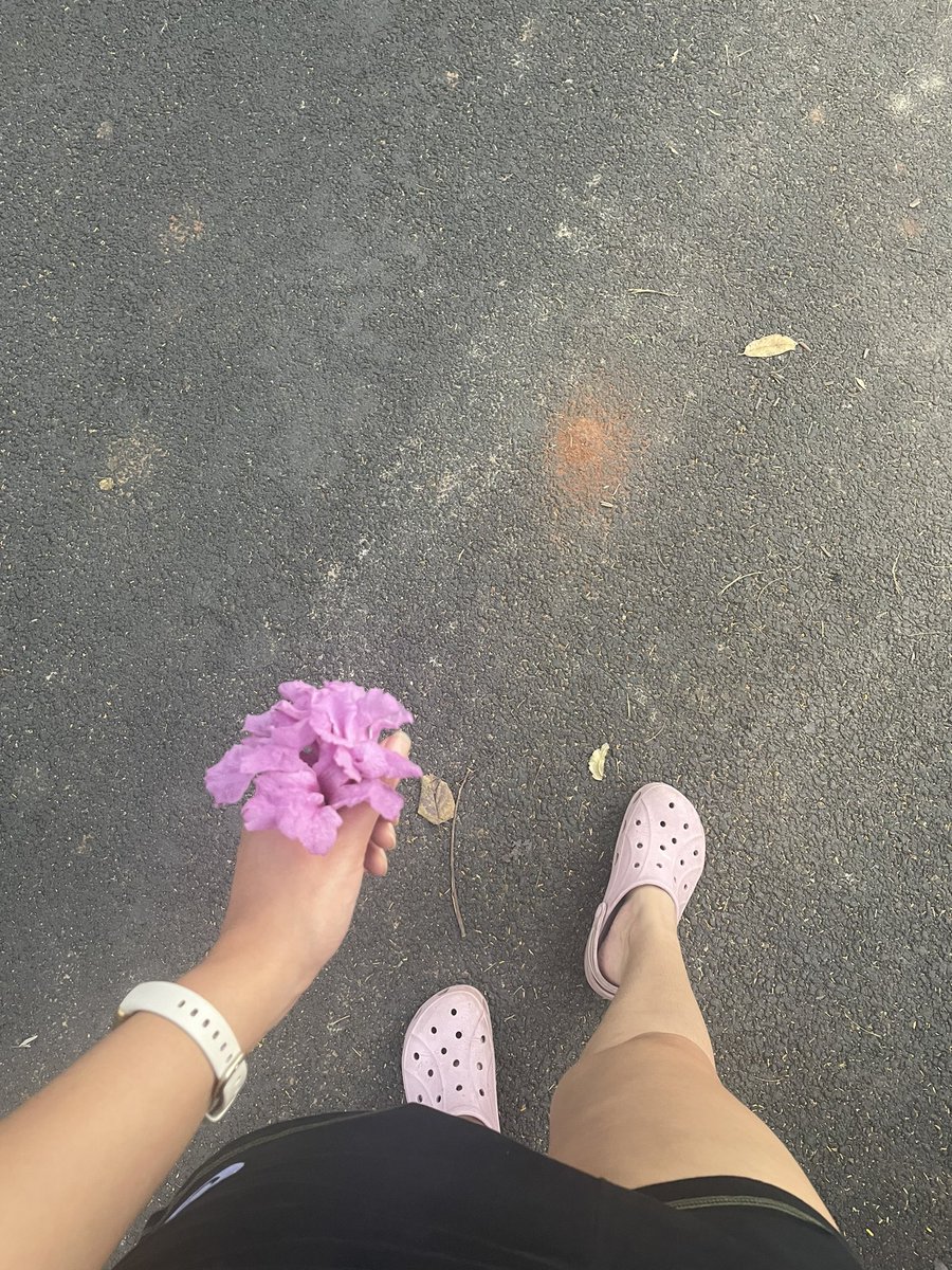 since <a href="/fitbit/">fitbit</a> is getting rid of challenges 😭 me and a couple of friends have taken the fitbit challenge to the next level by making it a derby. people with fitbits are the horses. our friends are betting on us. time to get those steps in 💪🏻