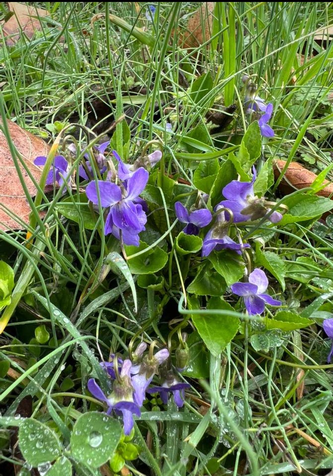 Baharın ilk günü🌱
Gecenin gündüzle eşitlendiği gün bugün🌻
Yarın ve sonrası daha aydınlık🌞

#21Mart 2023🌾🐝🐞🦋

#NevruzBayramı'nız kutlu olsun🌼🐌🐜🦋🐛