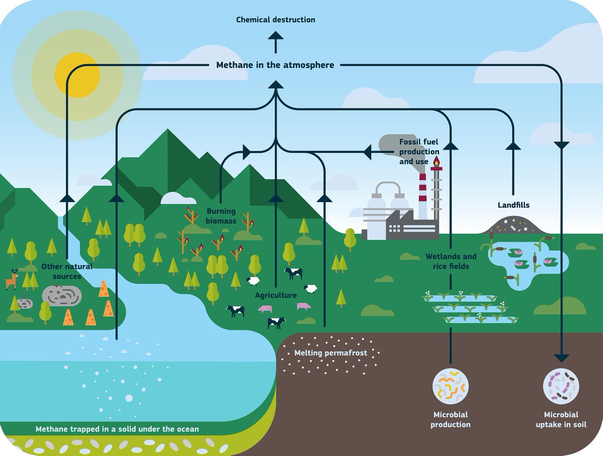 New CH4 and N2O emission synthesis for EU+UK published with support from @CoCO2_project scientists. @CoCO2_project is already busy preparing the next synthesis as follow up to and in collaboration with @V_ERIFY_H2020. Read more: coco2-project.eu/news/new-synth…