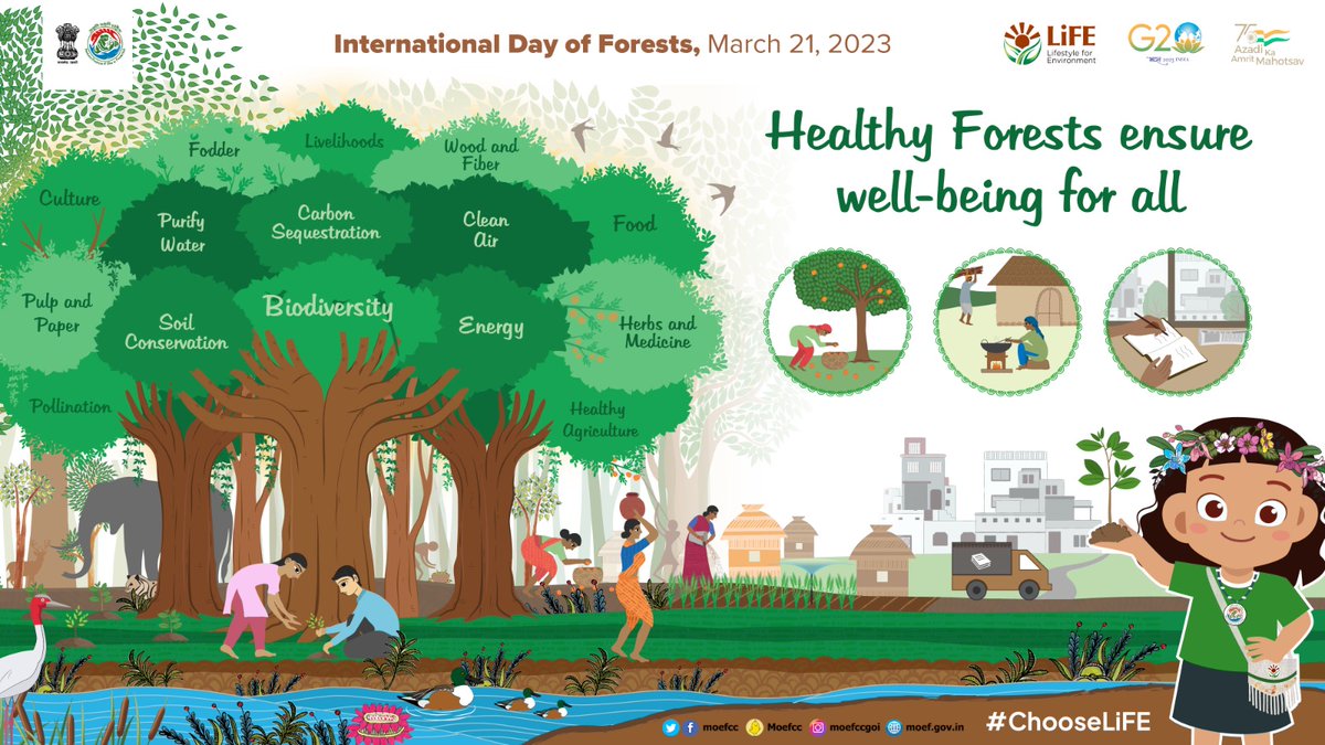 Healthy Forests ensure well-being for all
#InternationalForestsDay
 #ForestsDay