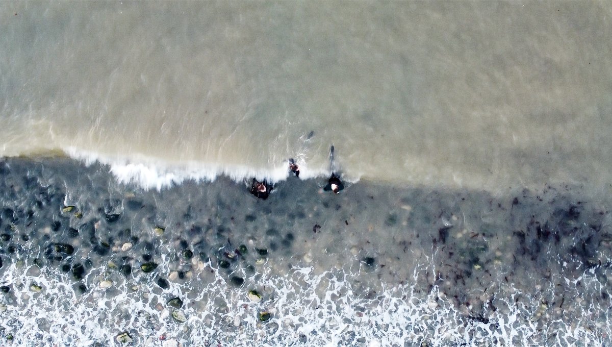 Don’t forget to register for our Creative Nature Programme celebration on 30 March with the #FutureWalesFellowship - 8 artists who are using their practice to look at the impact climate change has on everyday life 👉bit.ly/3yVvQVr

With <a href="/NatResWales/">Cyfoeth Naturiol Cymru | Natural Resources Wales</a> <a href="/centre_alt_tech/">Centre for Alternative Technology</a>