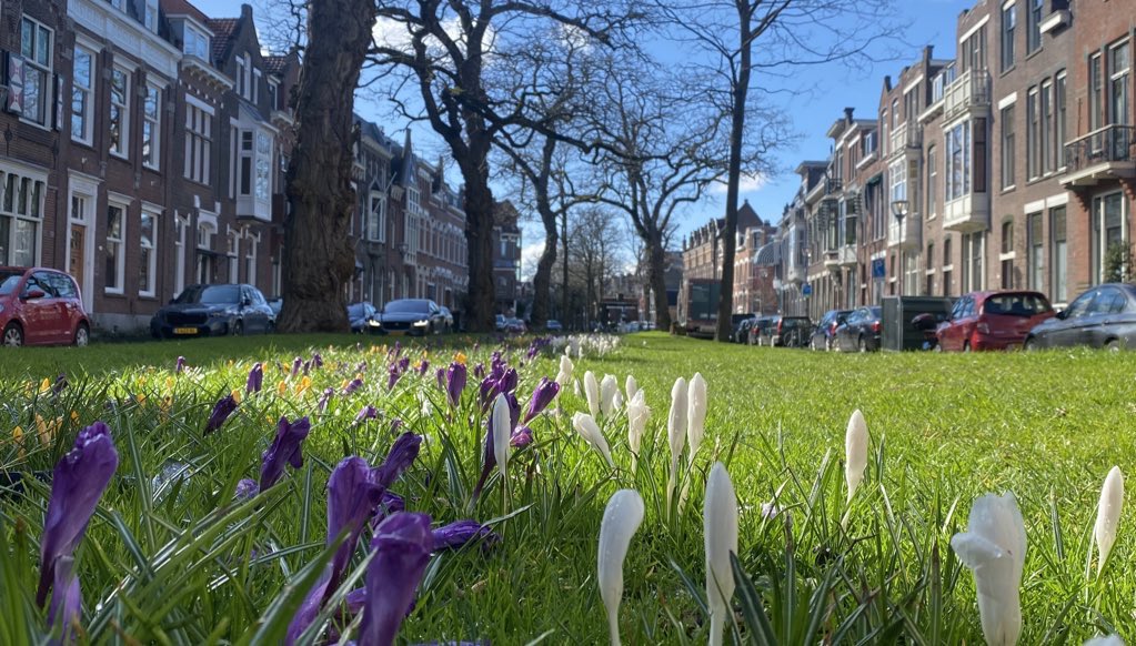 WRKralingen's tweet photo. Uitnodiging vergadering Wijkraad
🗓️ 27-3
🕰️ 20:00 uur
📍 Pro Rege 

Agenda: o.a. Wijkakkoord, ondergrond van Kralingen. https://t.co/yuyopVq3ya https://t.co/D6eOm8Sf4I