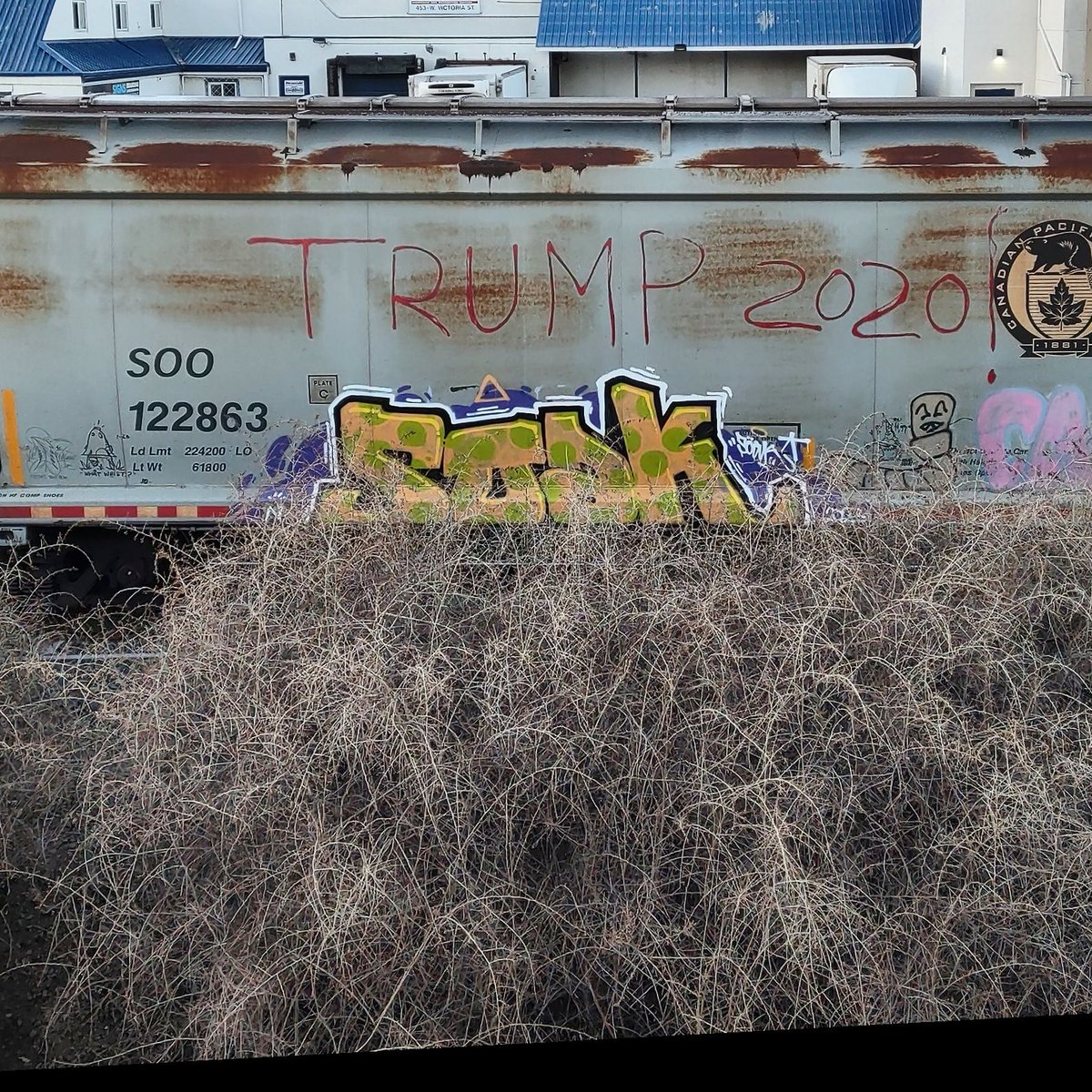 GraffitiExpress's tweet image. soak
#kamloops #train #graffiti #art 
#soak