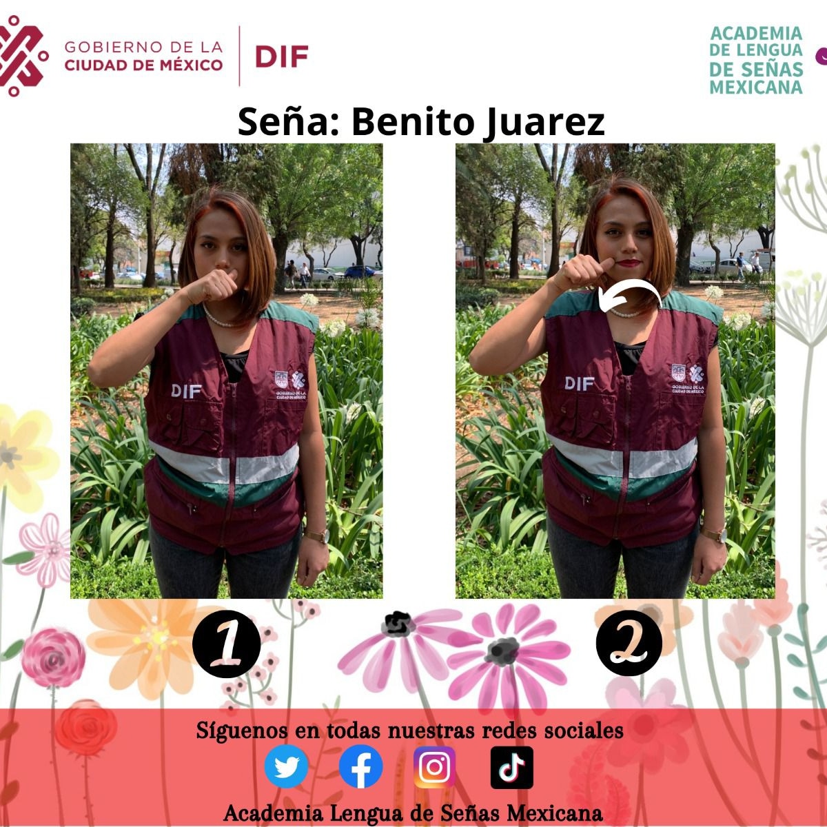 Lengua de Señas Mexicanas DIF-CDMX tweet media