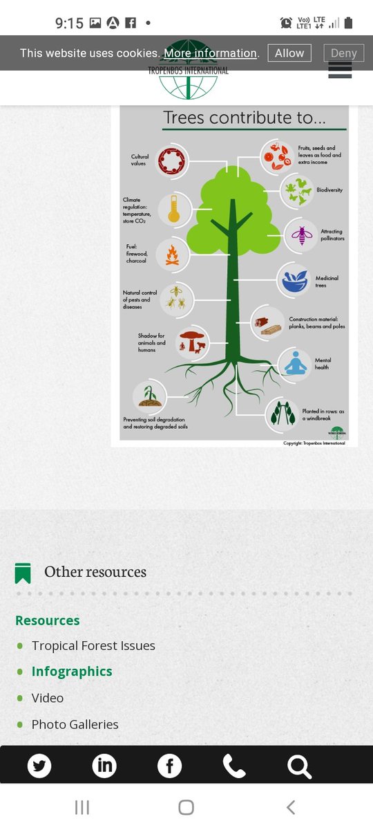 samay_arora's tweet image. #ImportanceOfTrees