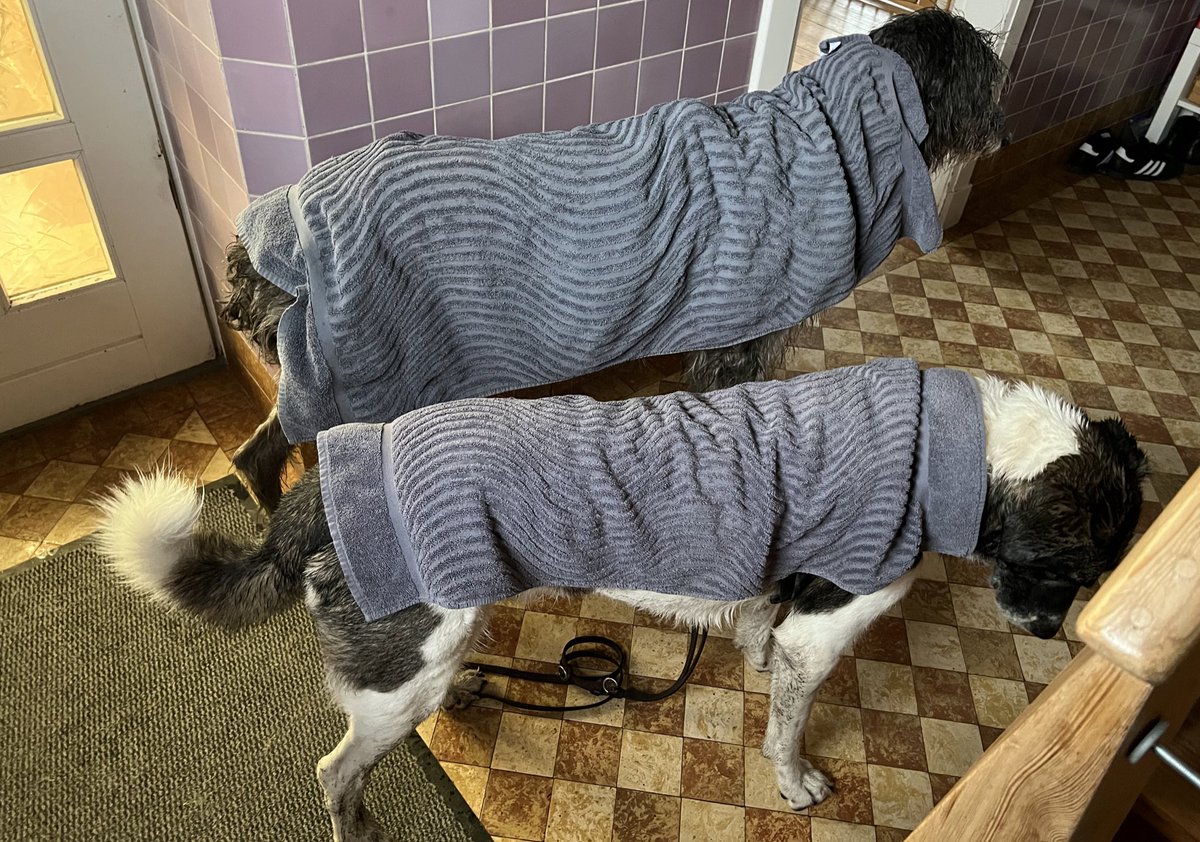 LaSensor's tweet photo. Nein, fragen sie einfach nicht…
#Regen https://t.co/AzyUTIPKjK