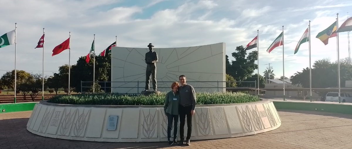 bramaccimmyt's tweet photo. It´s a privilege and honor to start the #NextGenerationWheat Field Day by honoring and remembering with Jeanie Borlaug Laube, Dr. Borlaug’s daughter, those that inspire us.
We stand on the shoulders of giants.
#TakeItToSociety.
#ImpactMatters https://t.co/uAKczIra3J