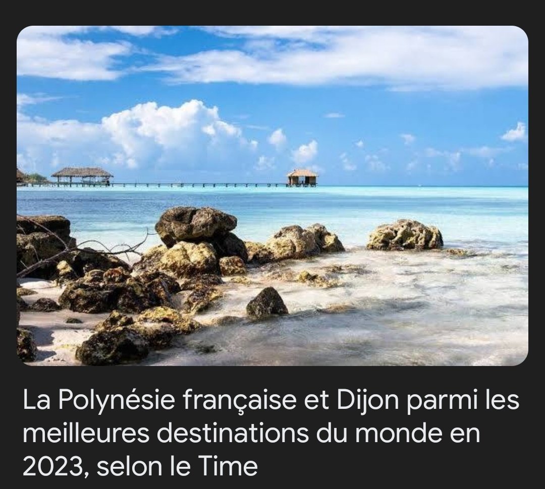 Mme Pingouin tweet media