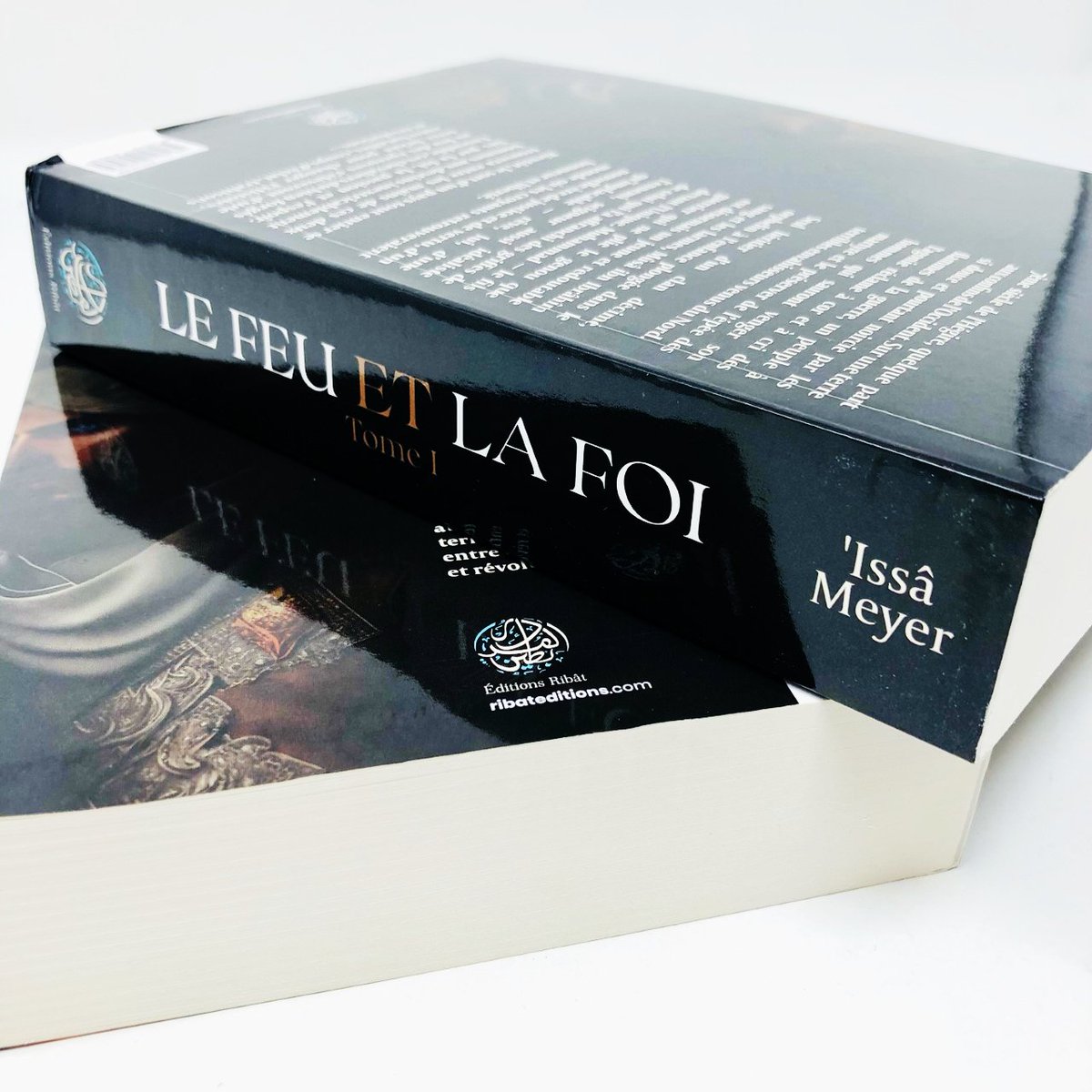 Sofiadis_off's tweet photo. 📚 L'auteur Issa Meyer de @RibatEditions signe là son premier roman : "Le feu et la foi - Chroniques andalouses". 

Cette diversification littéraire est à saluer d'autant que l'exercice romanesque n'est pas toujours chose aisée.

🛒- Ajouter dans ma Pàl > https://t.co/rQVD8Y6gWJ https://t.co/5OUy9wJ3Hx