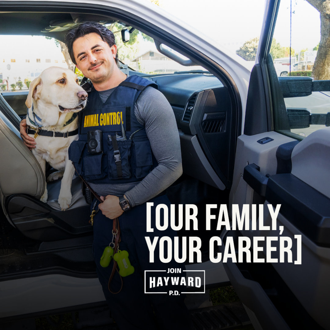 The Hayward Police Department is built on teamwork, camaraderie, and community. Join our family, and advance your career today. Visit joinhaywardpd.com to learn more! #JoinHaywardPD #HaywardPD #HaywardCA #HaywardPolice #HaywardPoliceJobs #PoliceJobs
