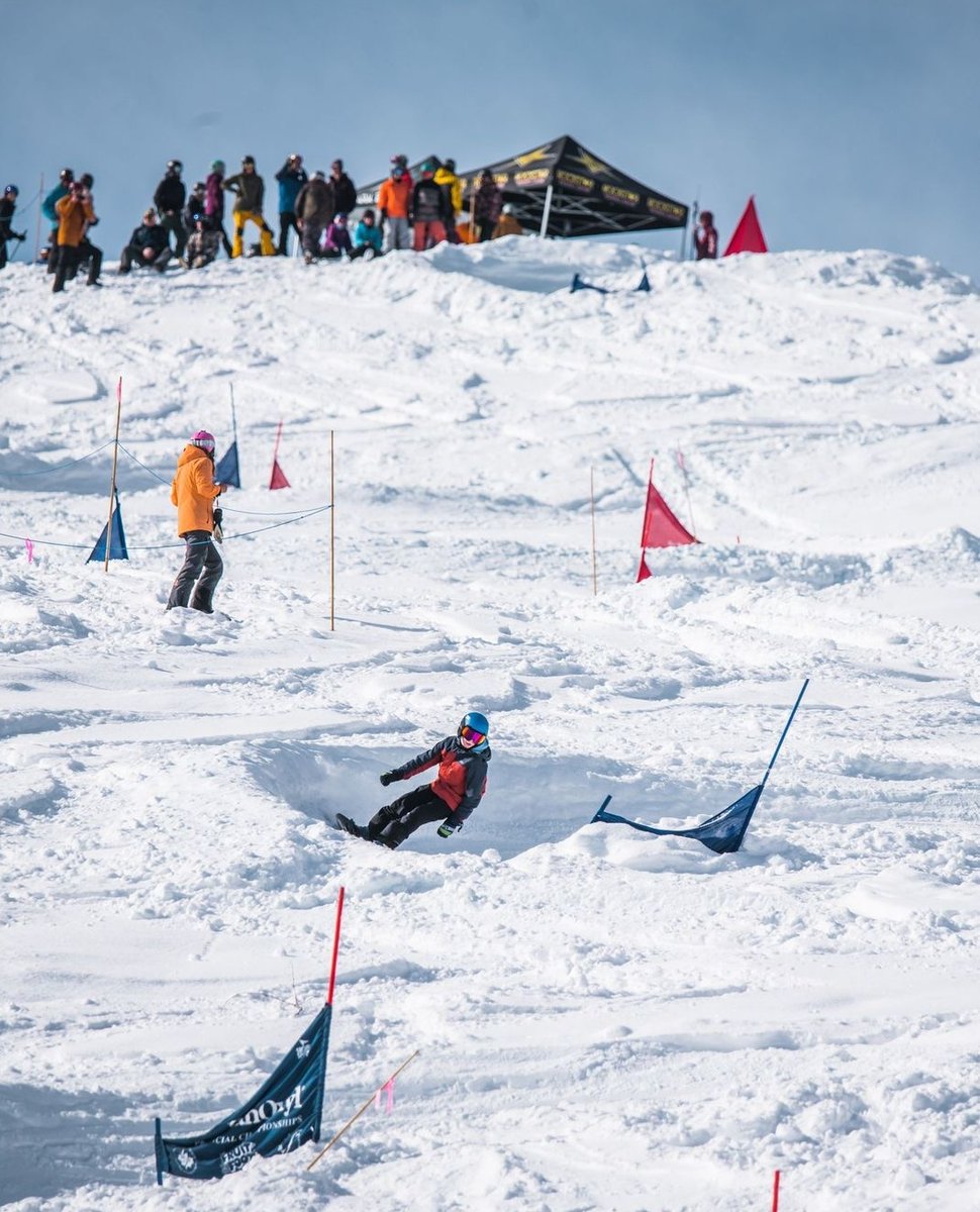 redresort tweet media